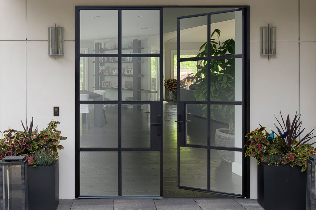 Fortis Steel Glass Door